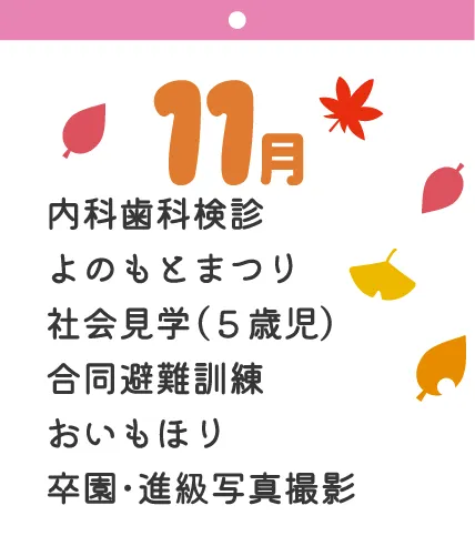 11月 内科歯科検診 よのもとまつり 社会見学（５歳児） 合同避難訓練 おいもほり 卒園・進級写真撮影